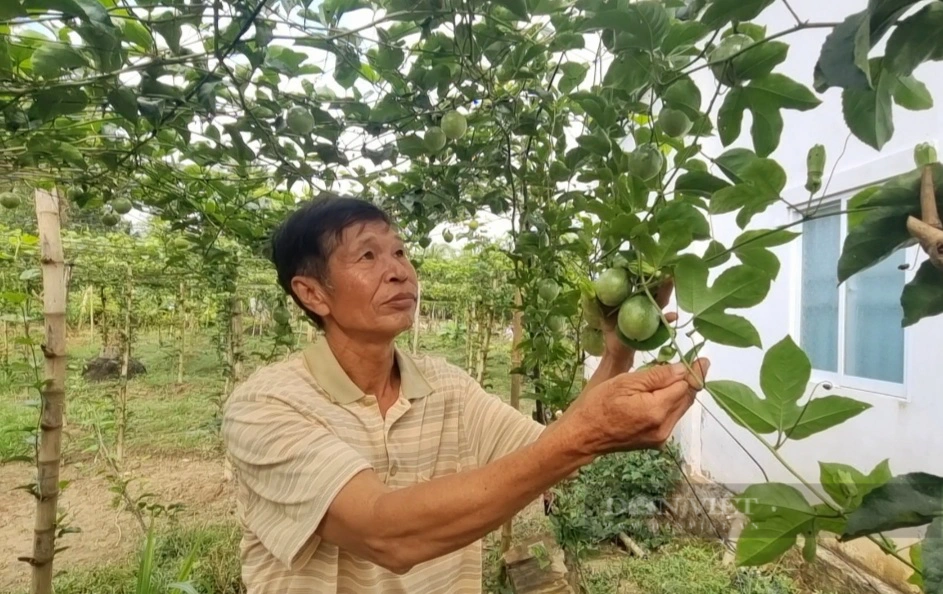 ND Nguyễn Hữu Công: Rất xúc động và vinh dự được nghe Tổng Bí thư phát biểu trực tiếp tại Đại hội VIII Hội NDVN - Ảnh 3.