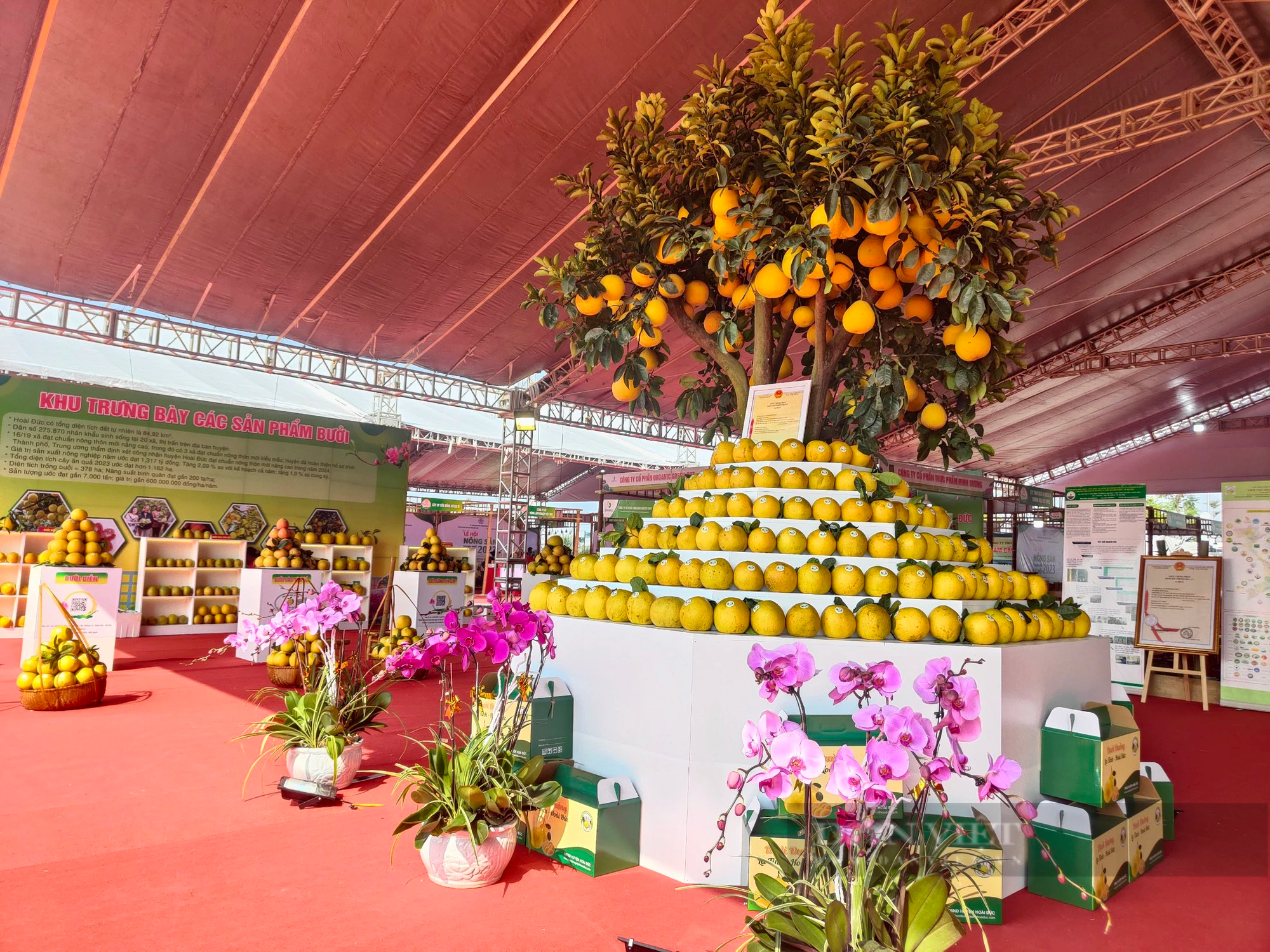 Nhiều sự kiện đặc sắc trong lễ hội nông sản thành phố Hà Nội 2023 - Ảnh 6.