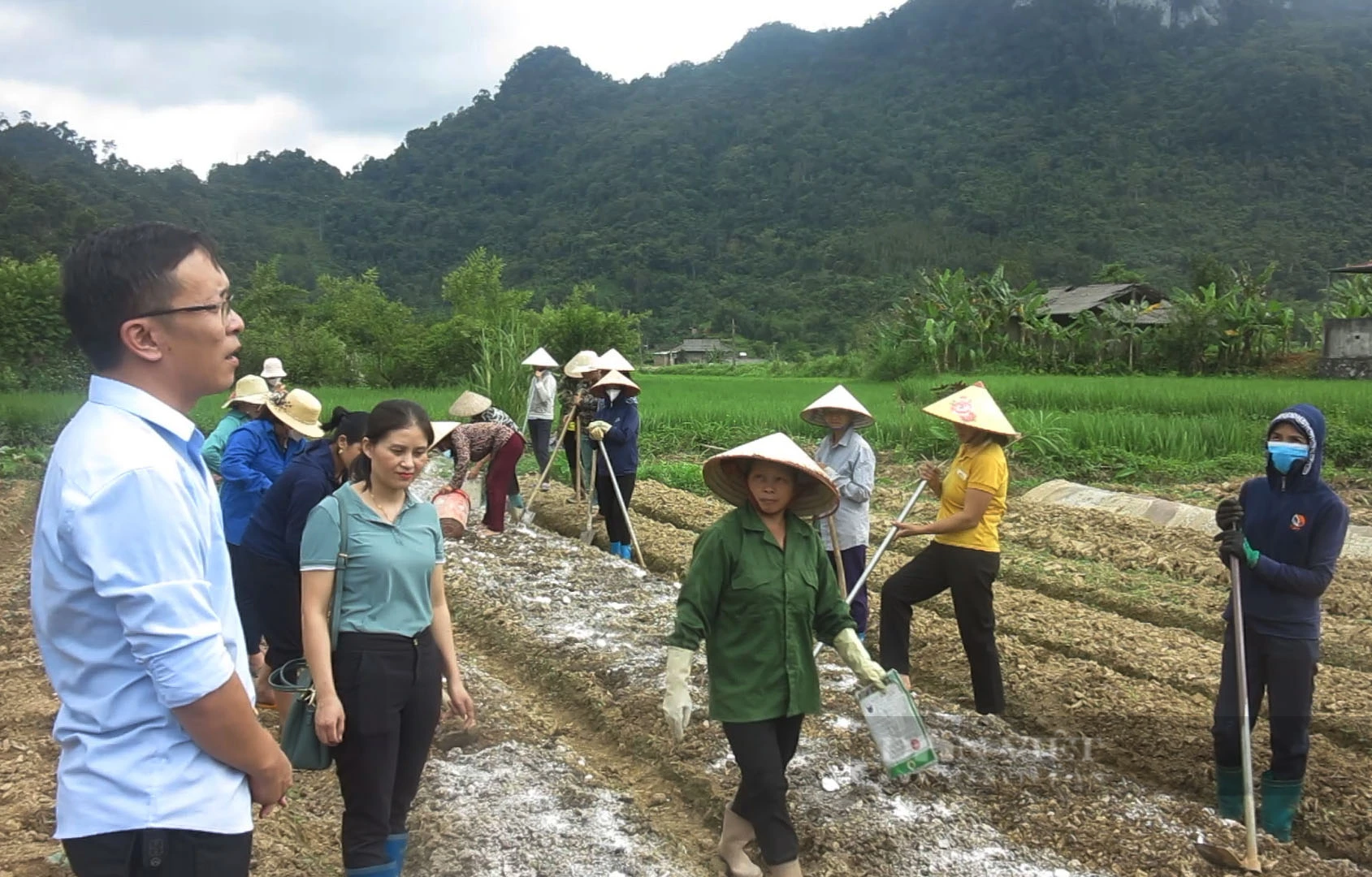 Bắc Kạn: Trao cơ hội việc làm cho 75% dân số thông qua công tác đào tạo nghề - Ảnh 5.