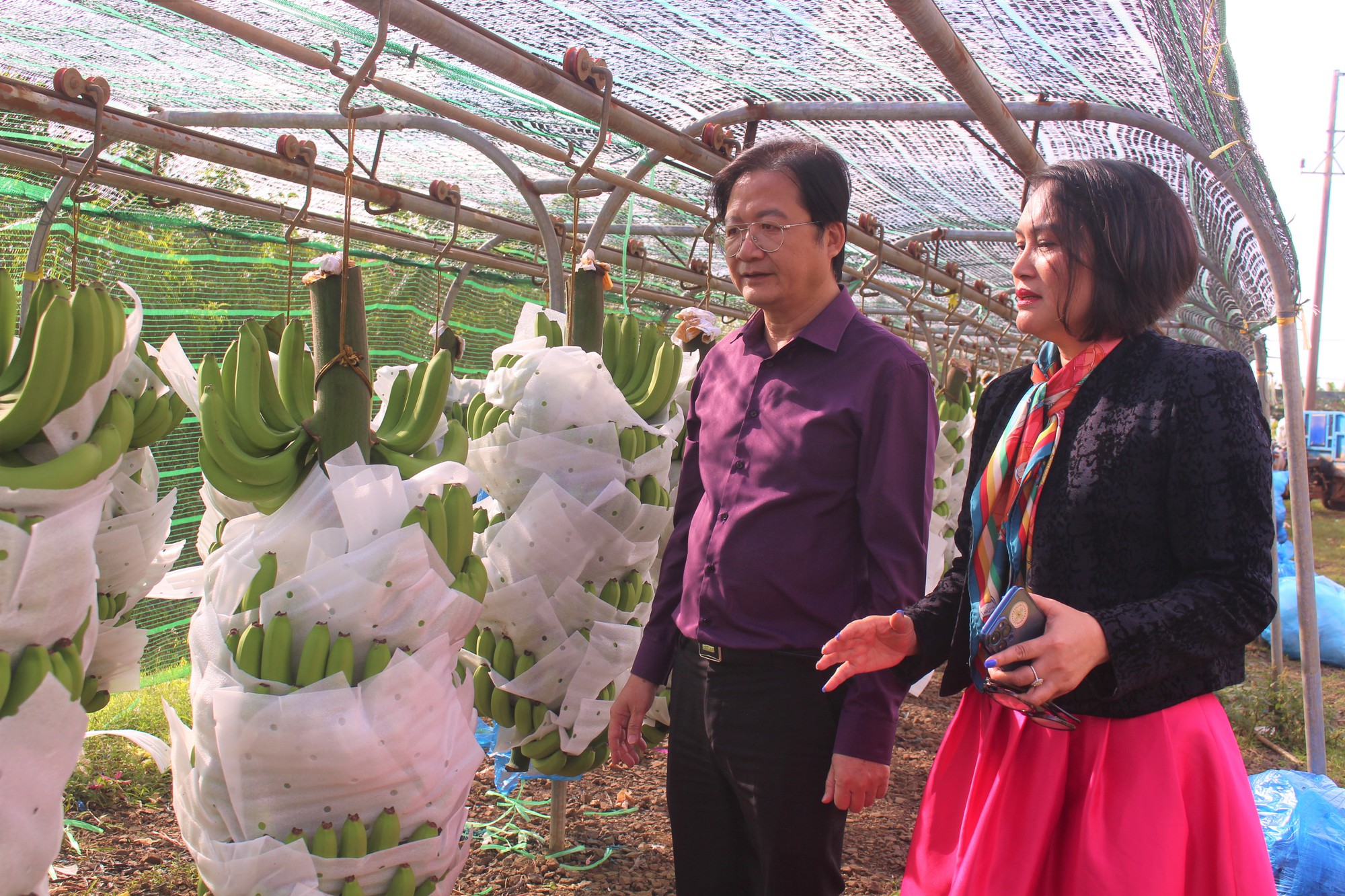 Nông nghiệp Đắk Lắk khẳng định vai trò trụ cột cho tăng trưởng kinh tế - Ảnh 6.