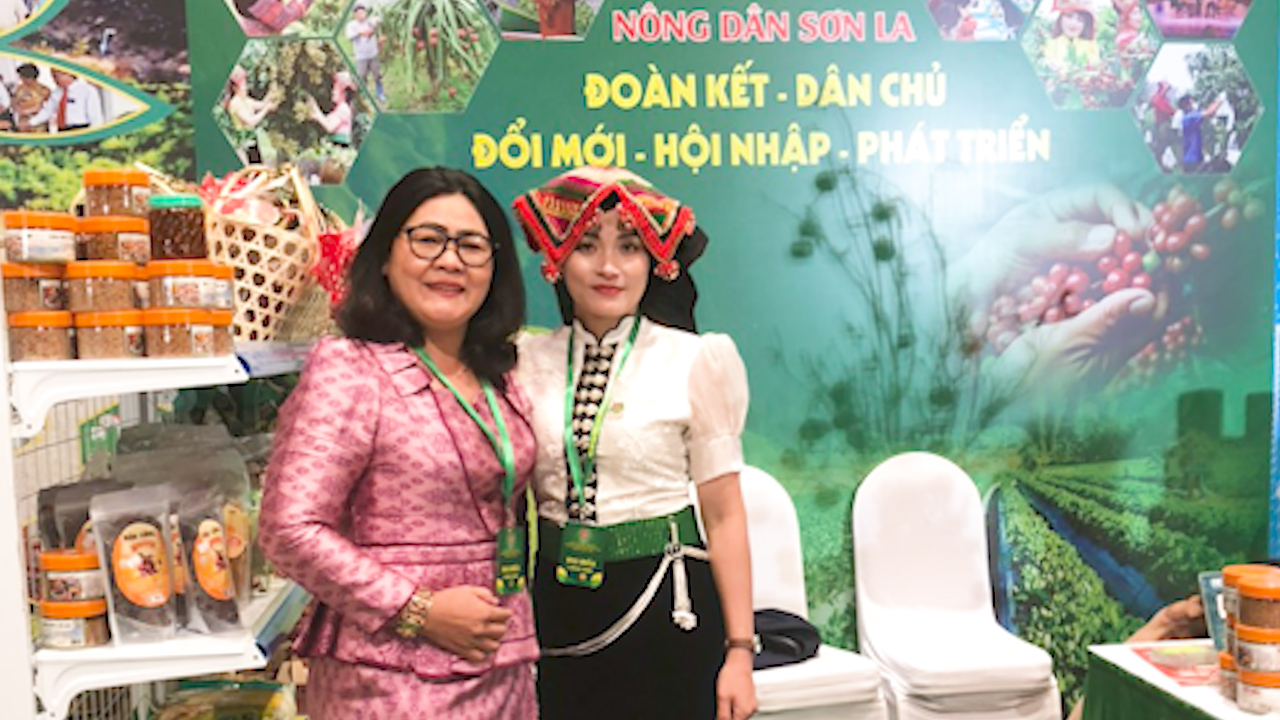 Giám đốc một HTX nông nghiệp ở Sơn La khẳng định, sau Đại hội VIII Hội NDVN, kinh tế tập thể sẽ mạnh hơn - Ảnh 1.