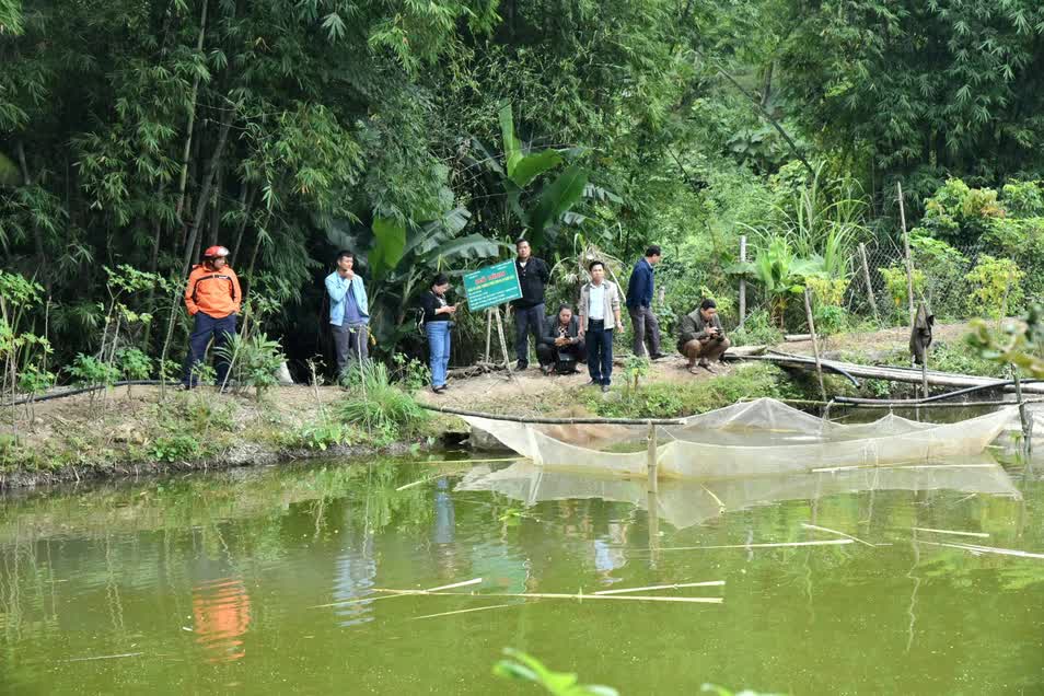 Nơi này ở huyện cực Tây của Nghệ An, dân nuôi thứ cá đặc sản, trẻ em ăn cực tốt, bán 150.000-200.000 đồng/kg - Ảnh 1.