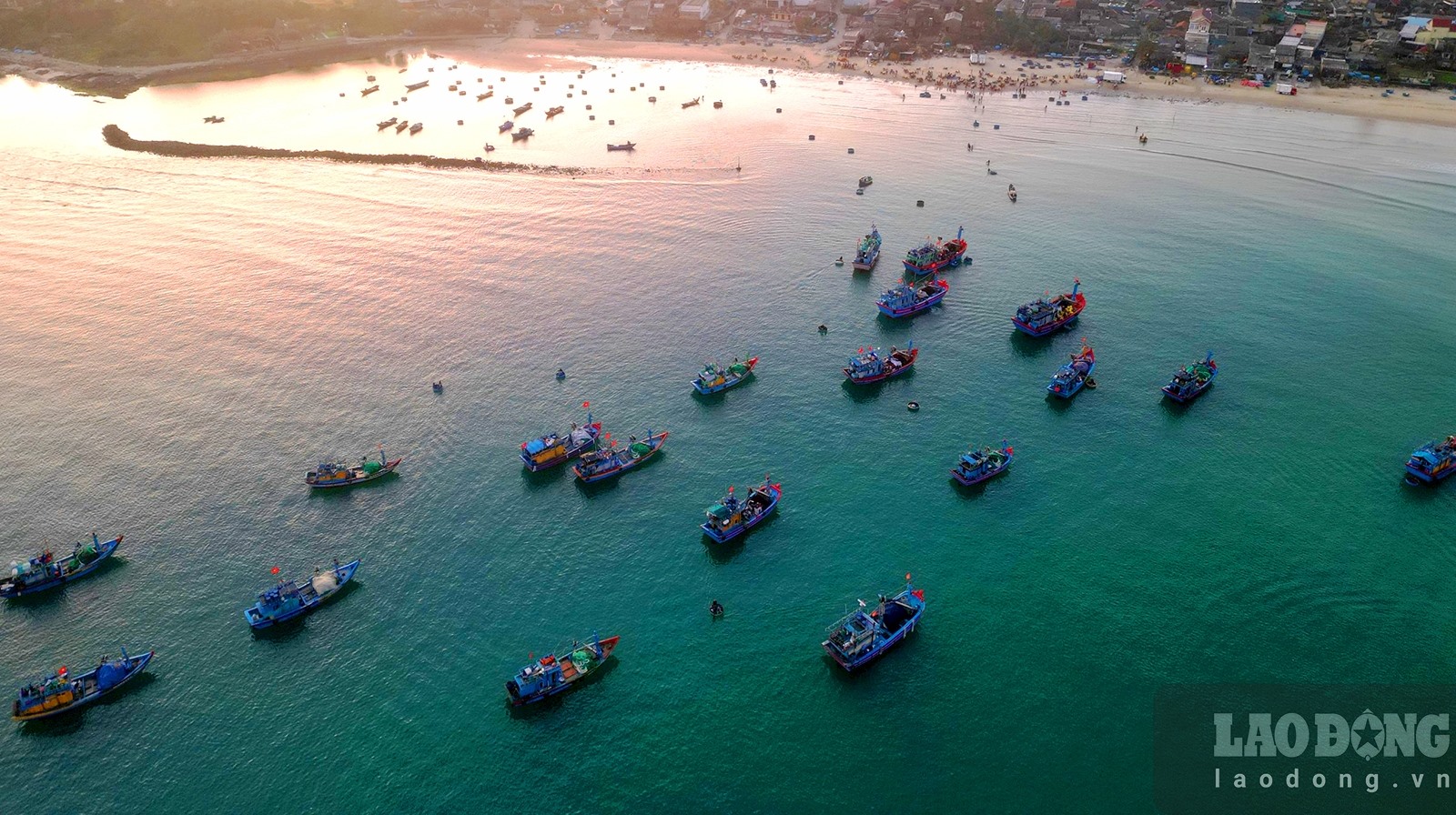 Chợ làng biển ở Quảng Ngãi, trên trời ánh bình minh, dưới tấp nập người mua bán, toàn thấy cá là cá - Ảnh 1.