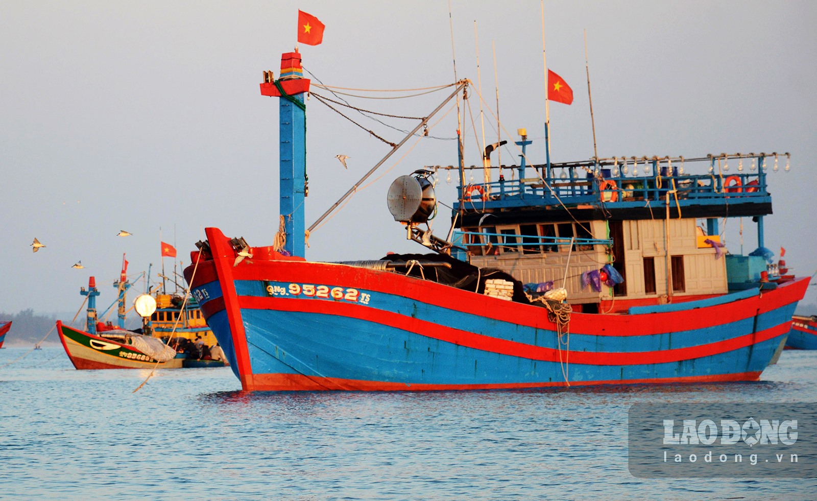 Chợ làng biển ở Quảng Ngãi, trên trời ánh bình minh, dưới tấp nập người mua bán, toàn thấy cá là cá - Ảnh 14.