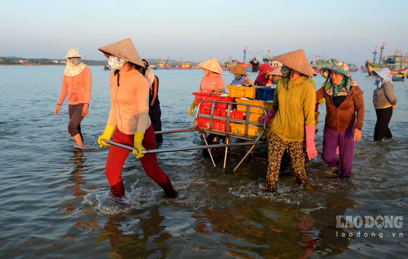 Chợ làng biển ở Quảng Ngãi, trên trời ánh bình minh, dưới tấp nập người mua bán, toàn thấy cá là cá - Ảnh 7.