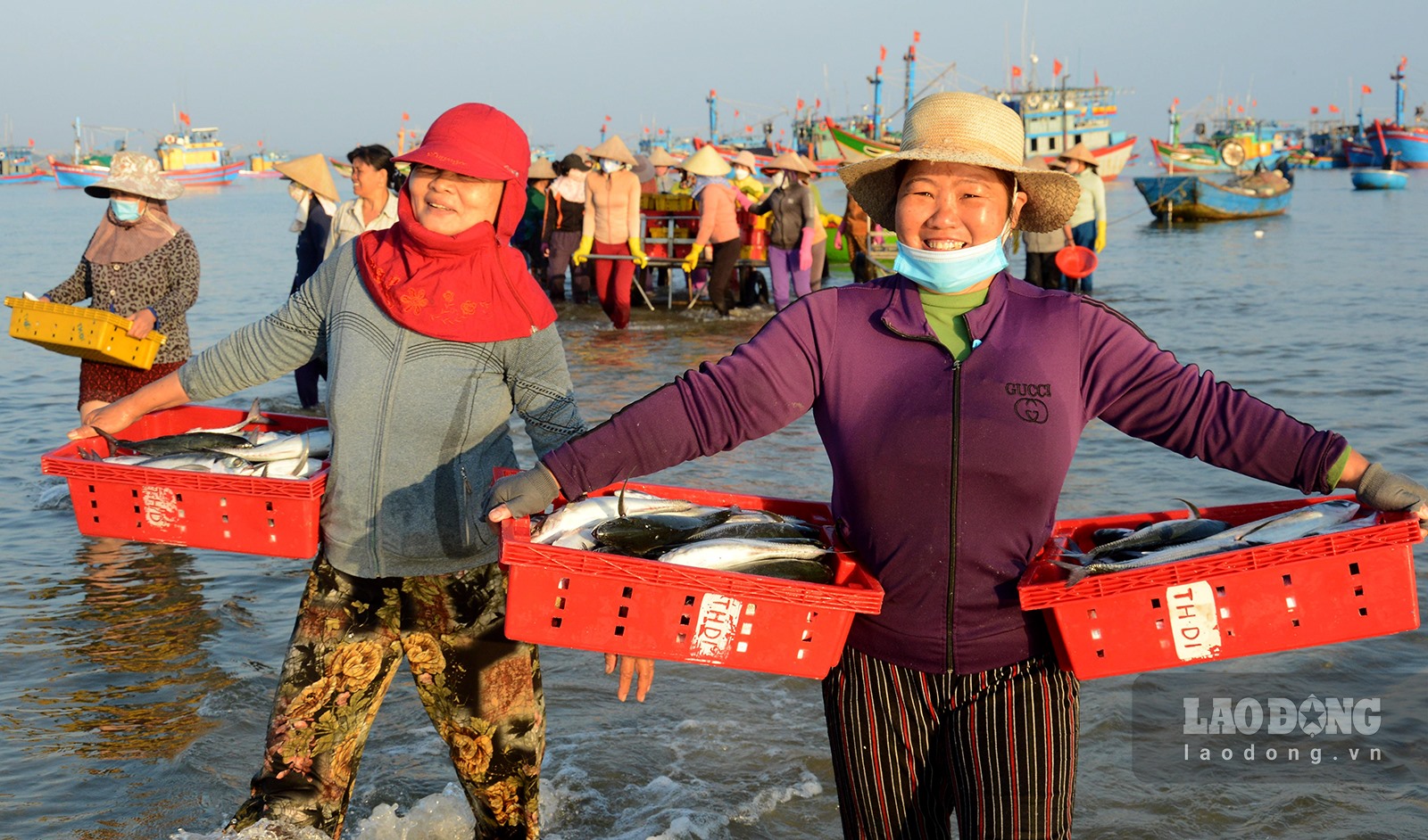 Chợ làng biển ở Quảng Ngãi, trên trời ánh bình minh, dưới tấp nập người mua bán, toàn thấy cá là cá - Ảnh 8.