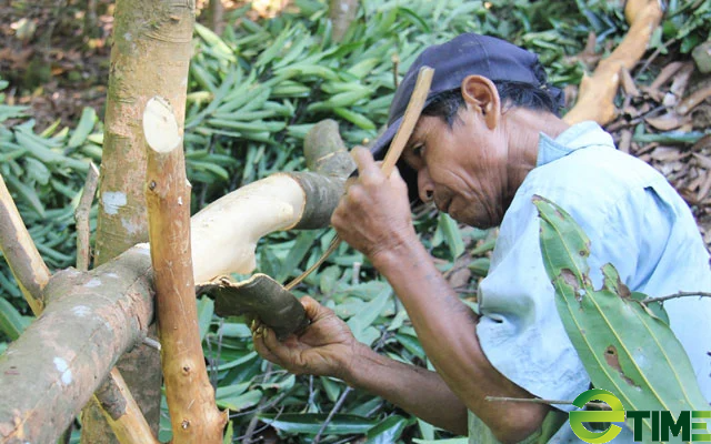 TP.Quảng Ngãi “hạt nhân” trung tâm phát triển đô thị gắn công nghiệp - kinh tế biển - Ảnh 8.