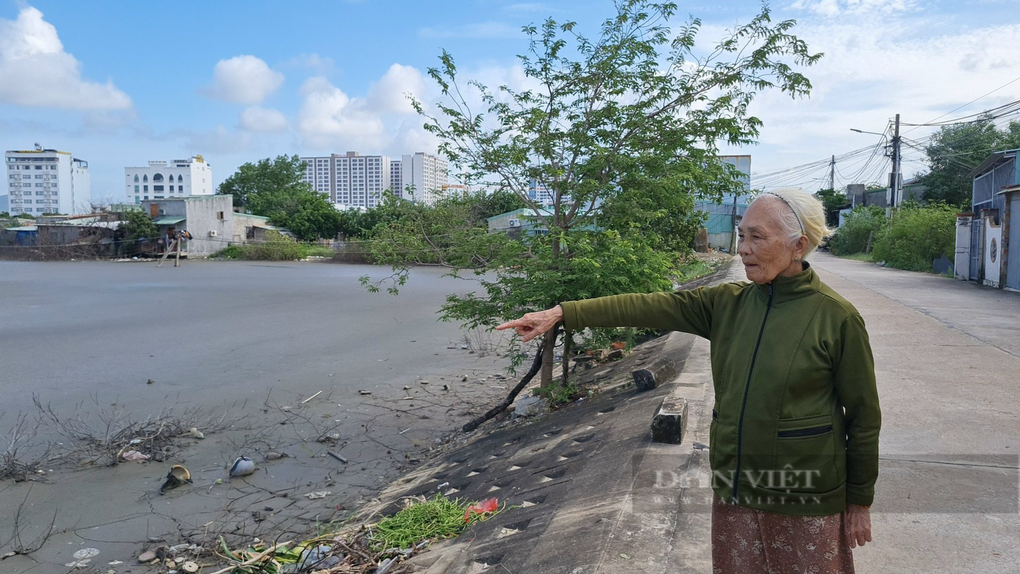 Xác định nguyên nhân gây ra hiện tượng 'lạ' trên sông khiến người dân khốn đốn tại Bình Định - Ảnh 4.