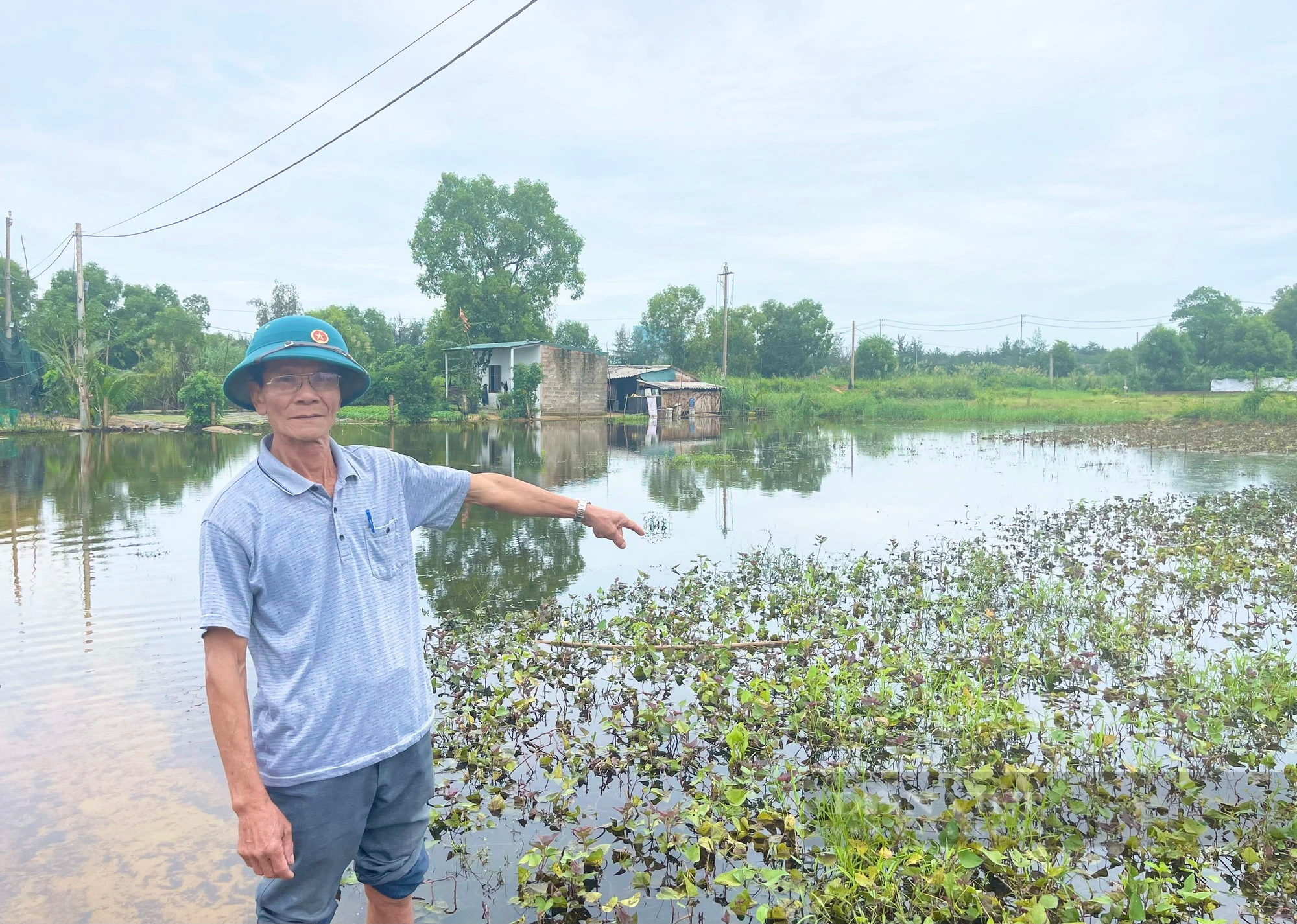 Quảng Bình: Mưa lớn khiến khoai lang tím của nông dân xã này ngập trong nước, thiệt hại nặng - Ảnh 3.