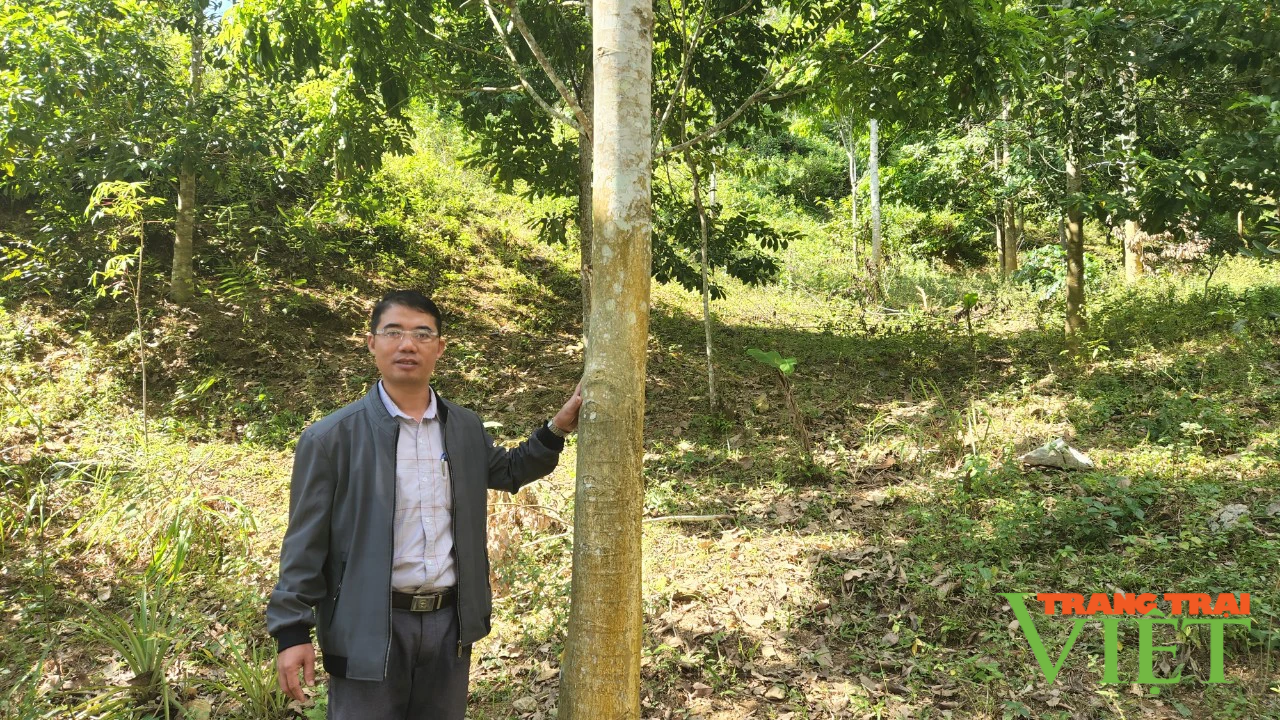 Lai Châu: Chuyển biến công tác phòng cháy chữa cháy rừng ở Bum Nưa - Ảnh 1.