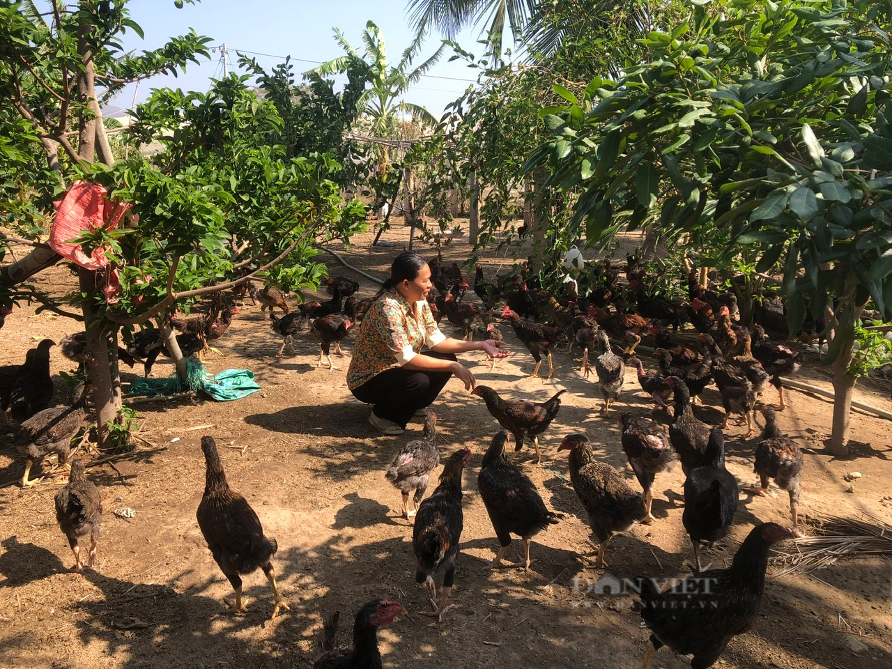 Cộng đồng người Chăm xã Phú Lạc chung tay với chính quyền xây dựng nông thôn mới, nâng cao thu nhập - Ảnh 7.