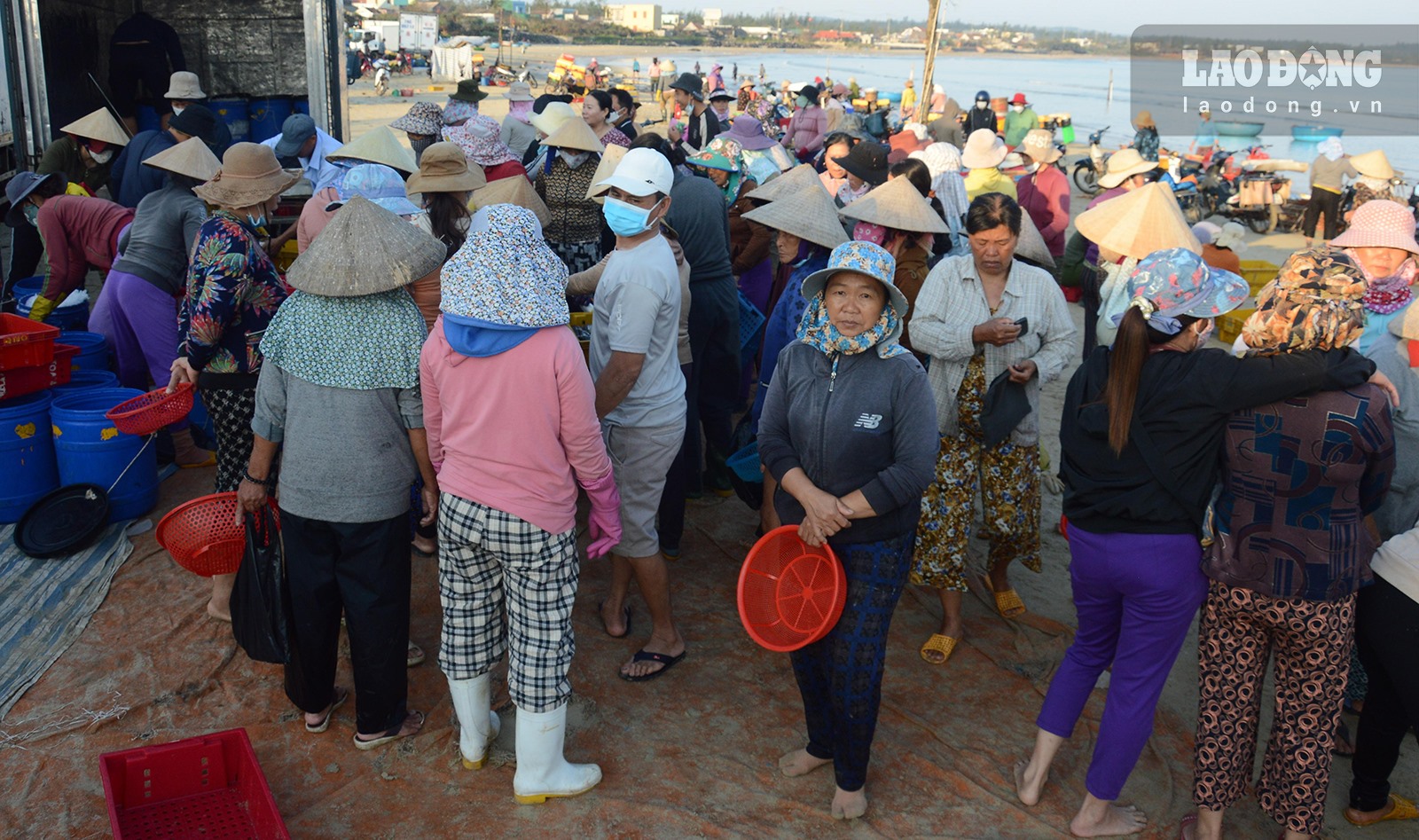 Chợ làng biển ở Quảng Ngãi, trên trời ánh bình minh, dưới tấp nập người mua bán, toàn thấy cá là cá - Ảnh 11.