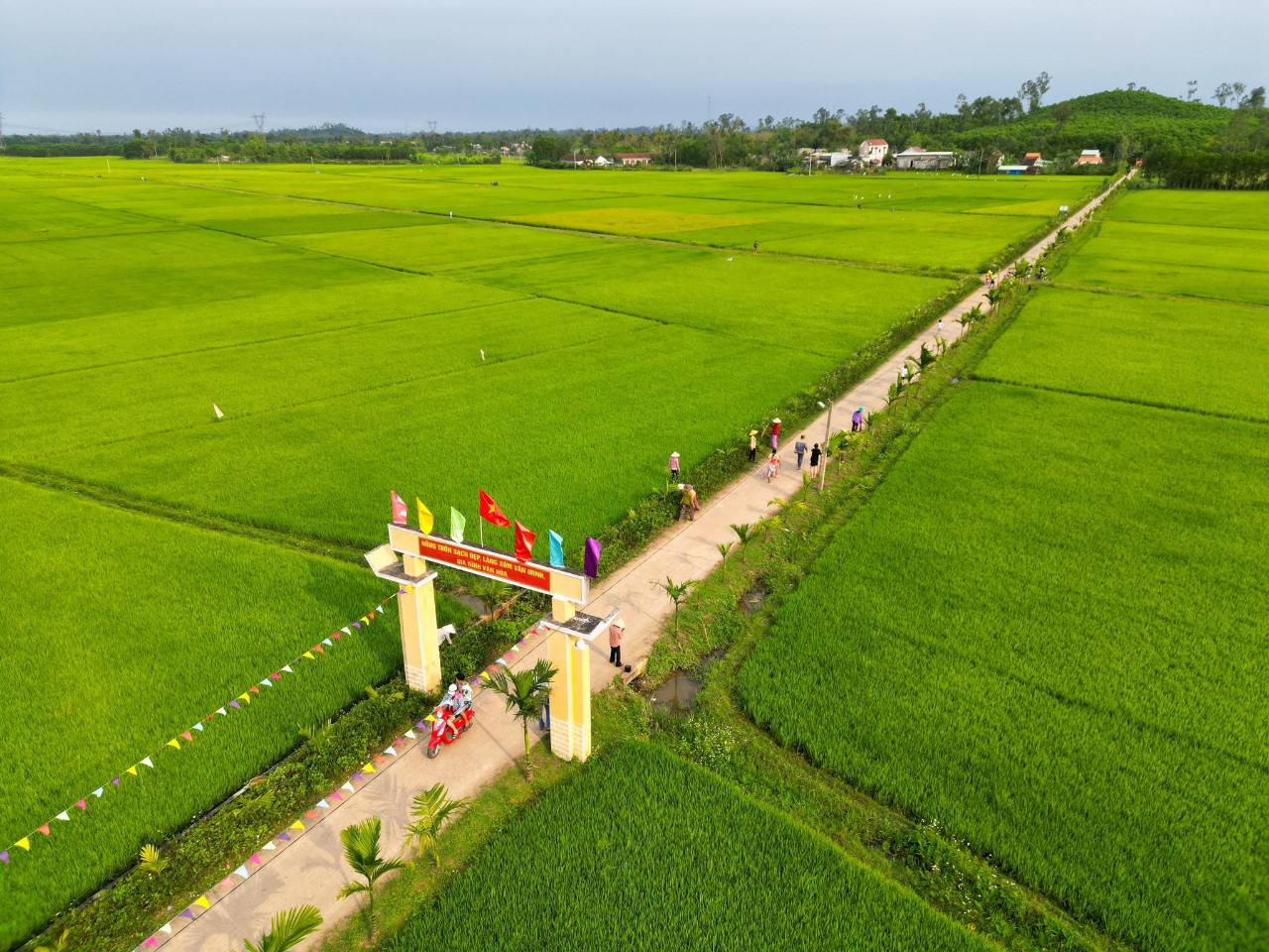 Quảng Nam: Xã Tam Lộc – huyện Phú Ninh quyết tâm xây dựng nông thôn mới theo tiêu chí nâng cao - Ảnh 1.