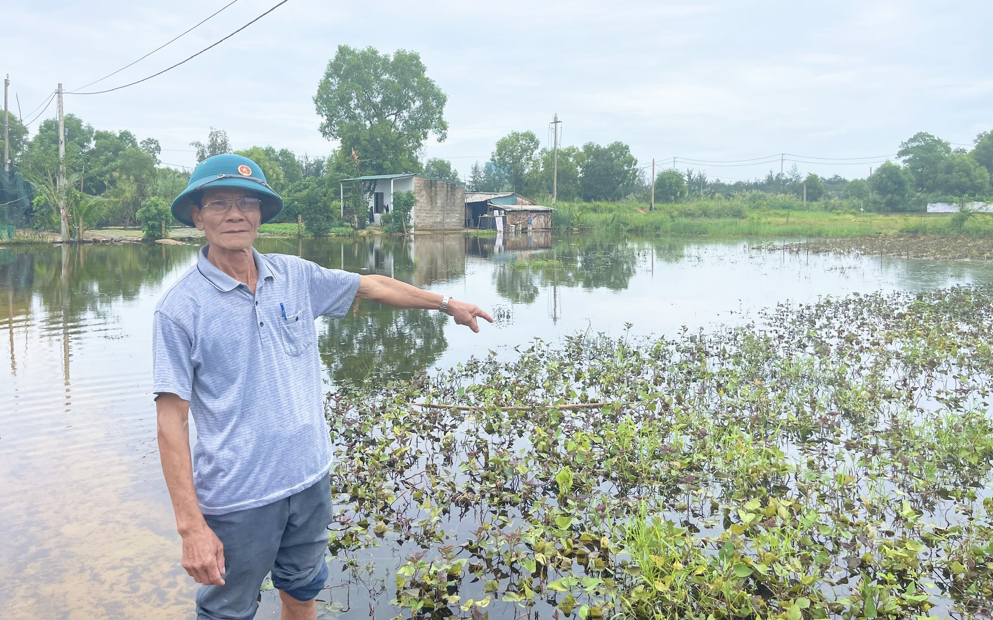 Mưa lớn ở Quảng Bình, nước ngập, loại cây ra củ đặc sản của nông dân xã này có nơi chìm nghỉm