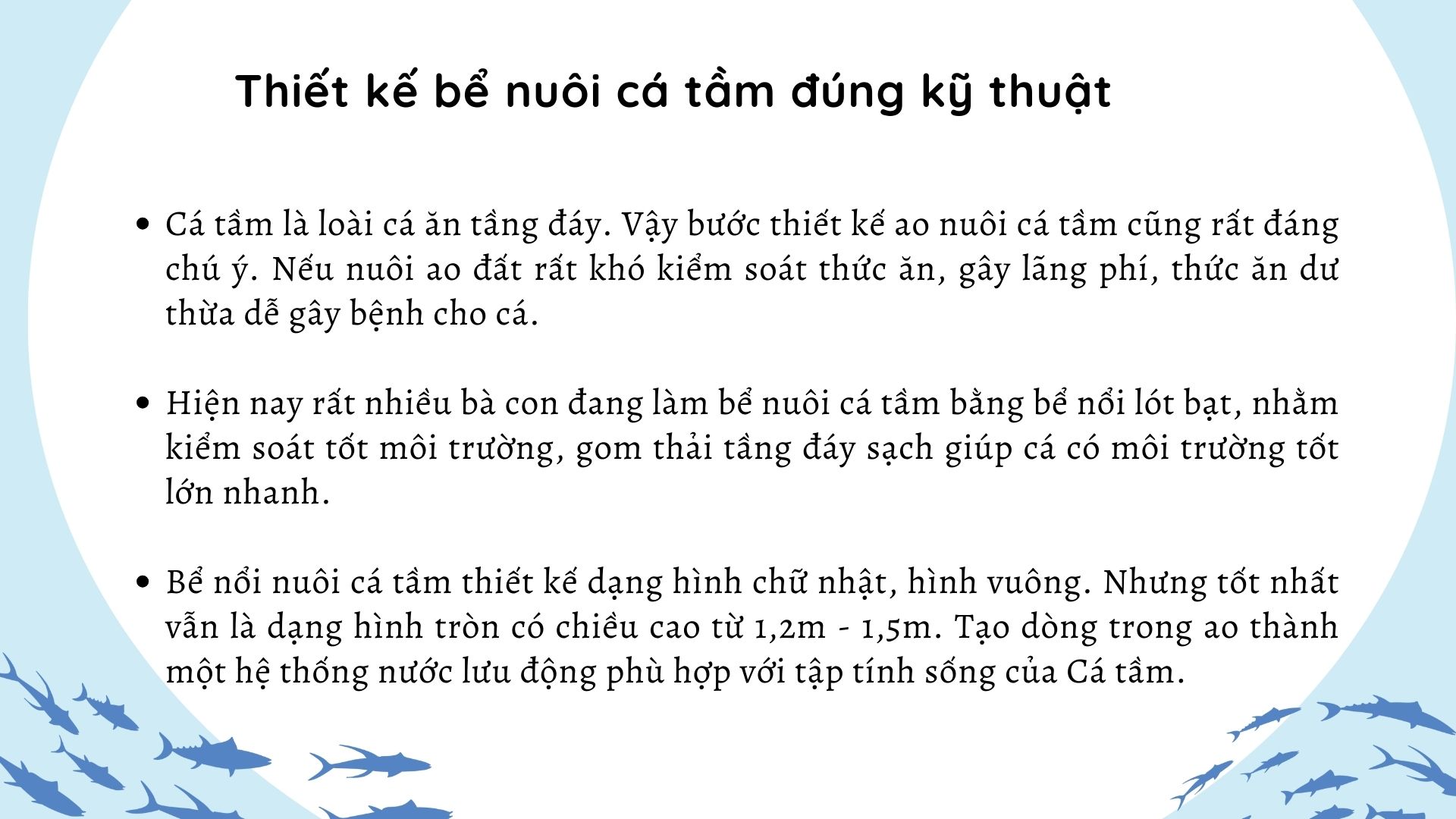 SỔ TAY NHÀ NÔNG: Kỹ thuật nuôi cá tầm nhanh lớn, năng suất cao - Ảnh 3.