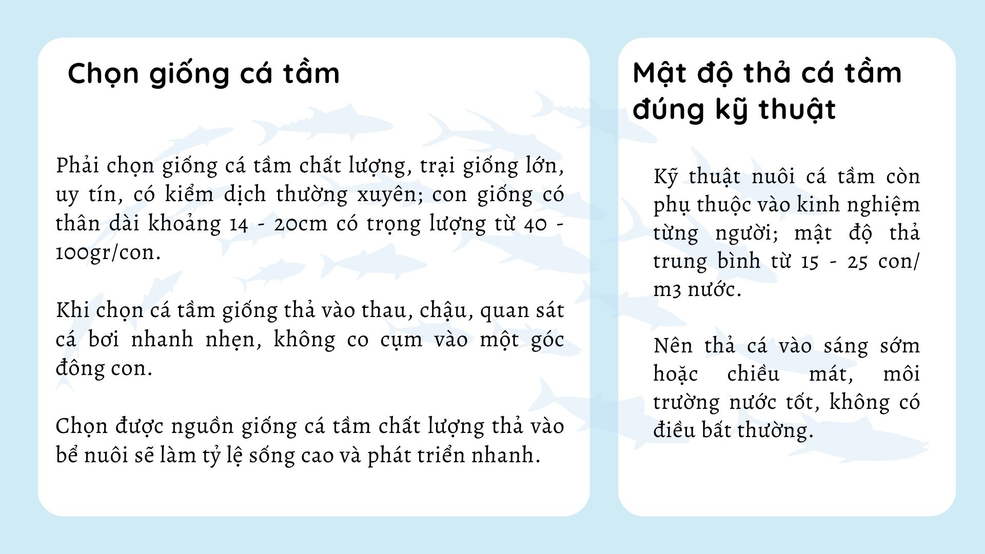 SỔ TAY NHÀ NÔNG: Kỹ thuật nuôi cá tầm nhanh lớn, năng suất cao - Ảnh 4.