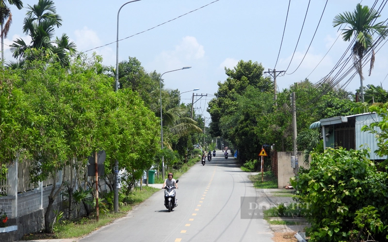 Tốc độ đô thị hóa nhanh tại một số khu vực ở TP.Thuận An làm giảm diện tích vùng cây ăn quả gắn với du lịch sinh thái. Ảnh: Nguyên Vỹ