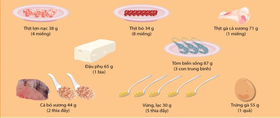 Người trưởng thành ăn thế nào để đủ sức lao động, làm việc? - Ảnh 3.