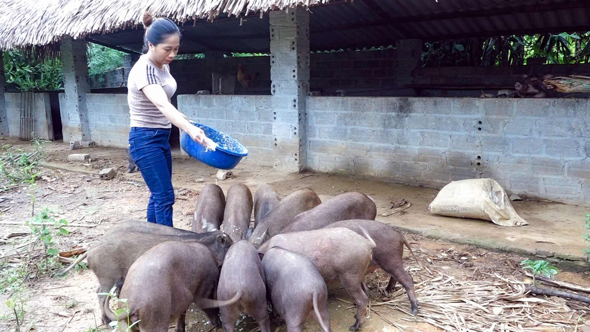 Huyện miền núi của Thái Nguyên phấn đấu về đích Nông thôn mới năm 2024, giảm tỷ lệ hộ nghèo dưới 3,4% năm 2025 - Ảnh 2.