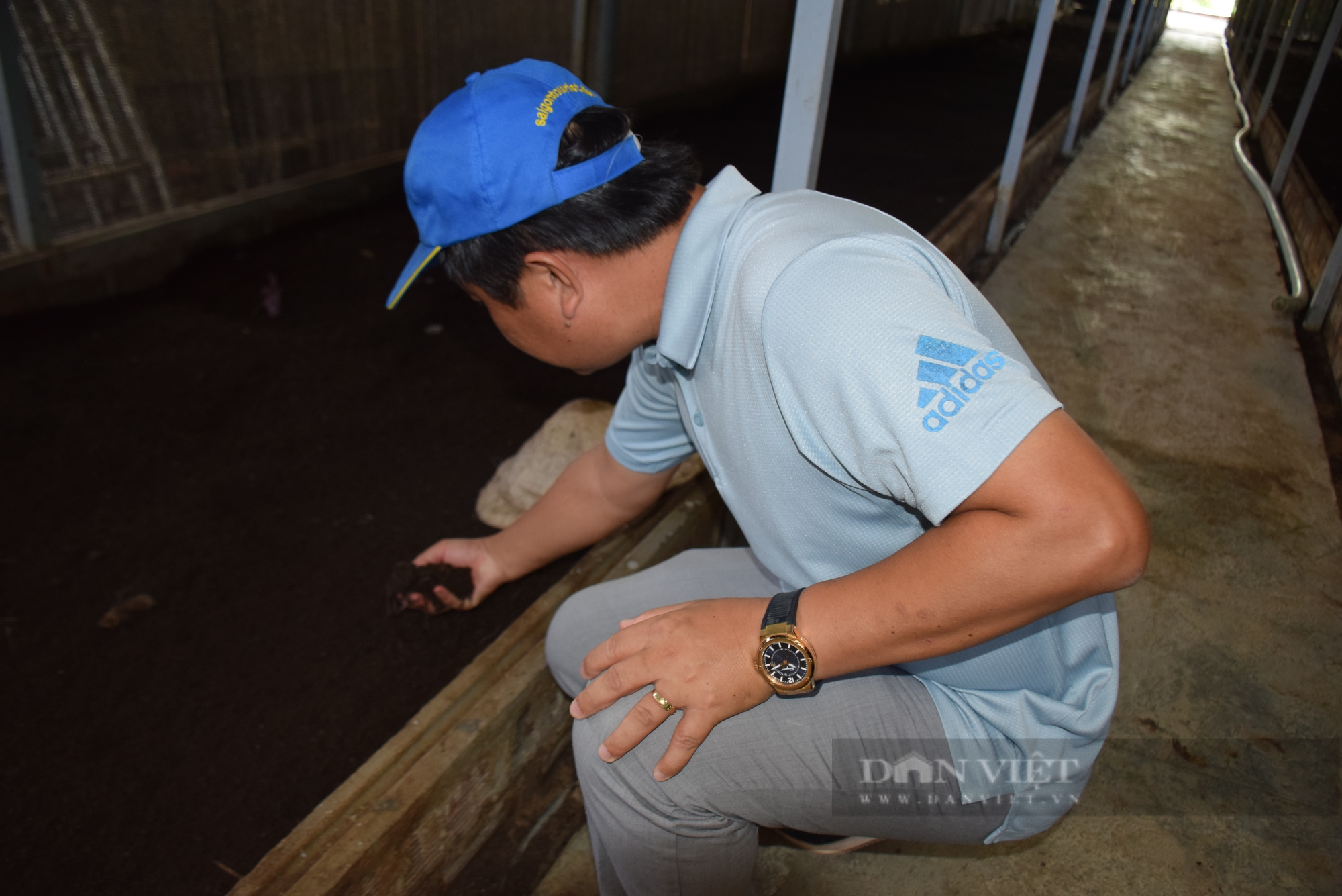 Ông chủ nhà hàng về quê làm nông nghiệp sạch ở vùng 'nóng nhất' Bình Định - Ảnh 6.