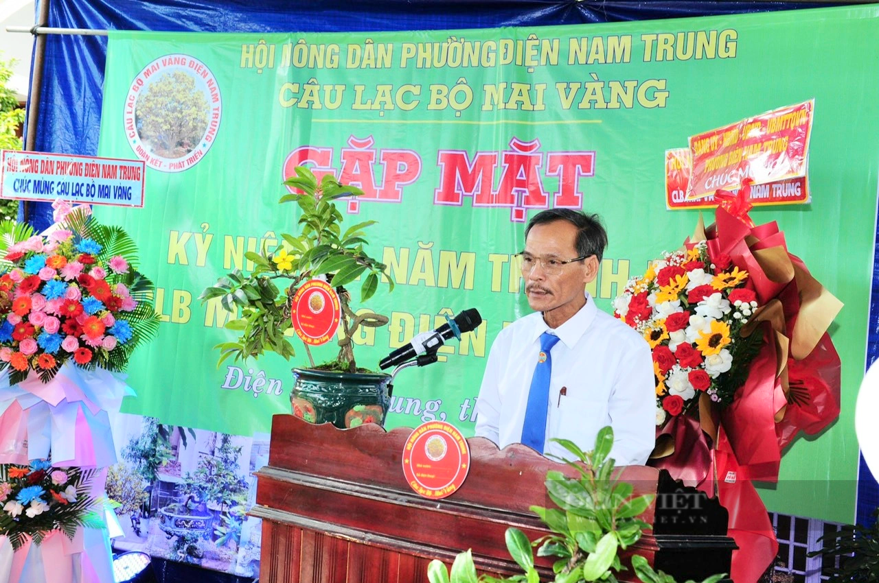 Câu lạc bộ mai vàng Điện Nam Trung quyết tâm xây dựng thương hiệu cây trồng đặc trưng - Ảnh 1.