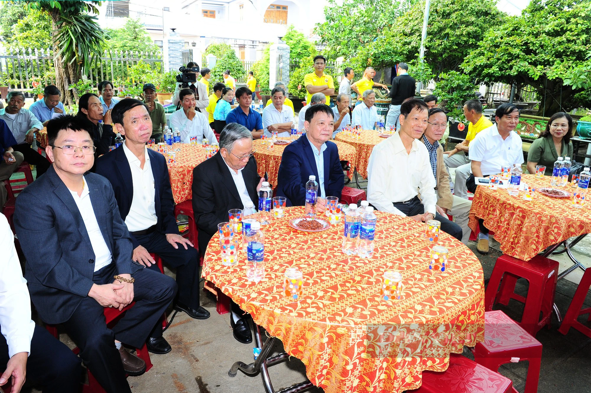 Câu lạc bộ mai vàng Điện Nam Trung quyết tâm xây dựng thương hiệu cây trồng đặc trưng - Ảnh 9.