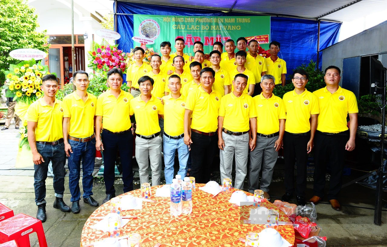 Câu lạc bộ mai vàng Điện Nam Trung quyết tâm xây dựng thương hiệu cây trồng đặc trưng - Ảnh 3.