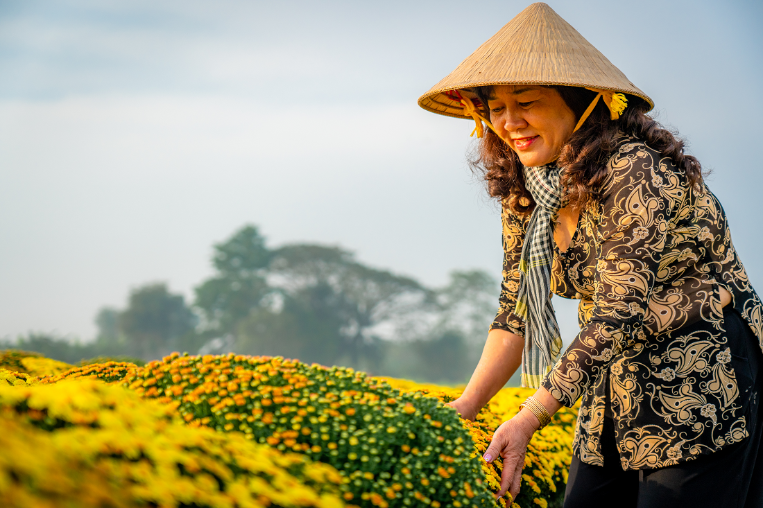 Lịch nghỉ Tết Dương lịch 2024: Người lao động sẽ nghỉ 3 ngày liên tiếp - Ảnh 1.