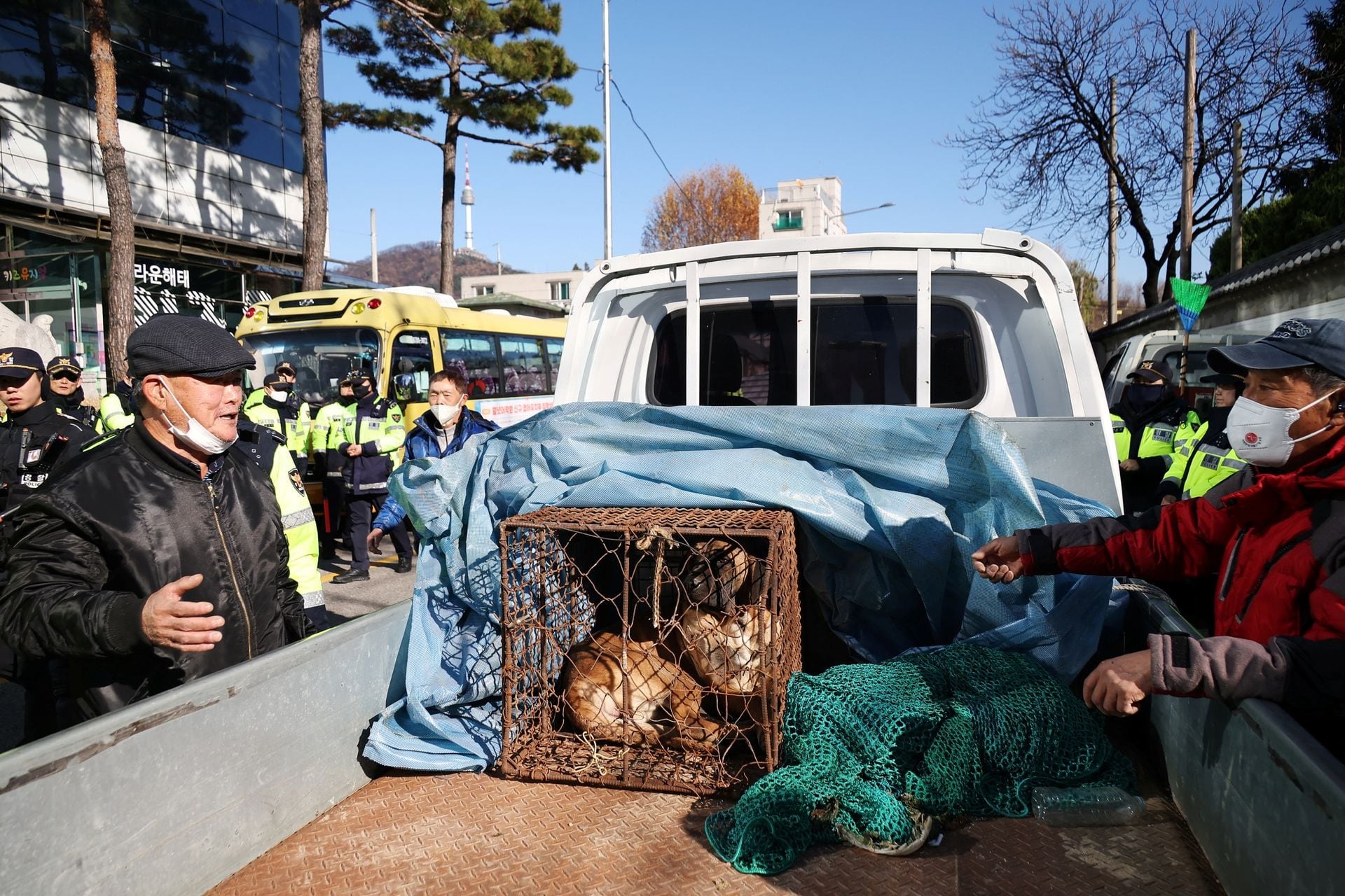 Người Hàn Quốc xuống đường biểu tình, phản đối lệnh cấm ăn thịt chó - Ảnh 2.