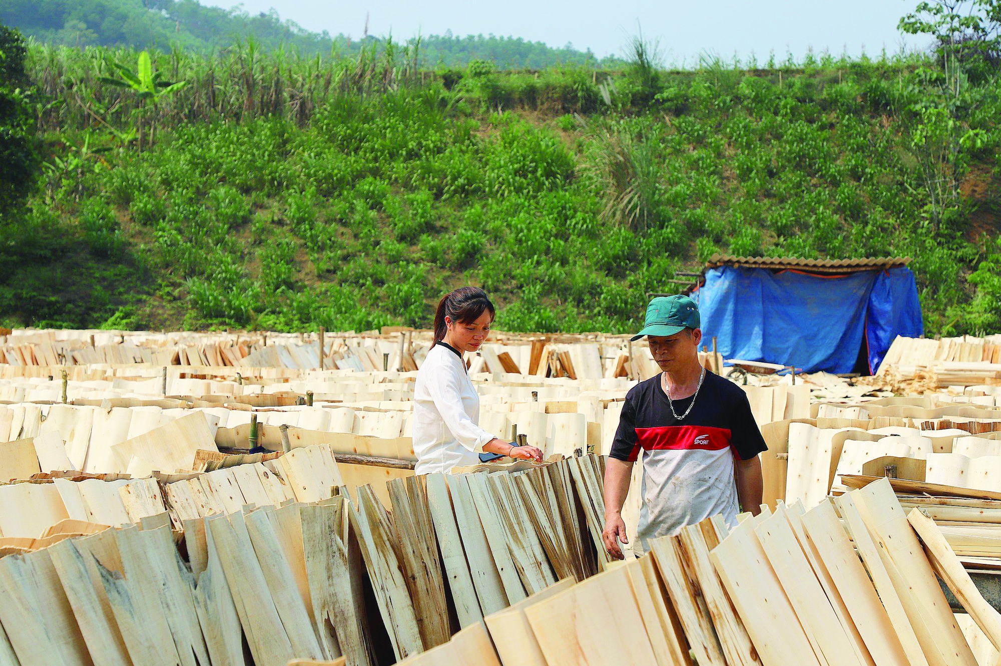 Huyện 30A ở Hà Giang nỗ lực giảm nghèo nhanh, bền vững gắn với xây dựng nông thôn mới - Ảnh 2.