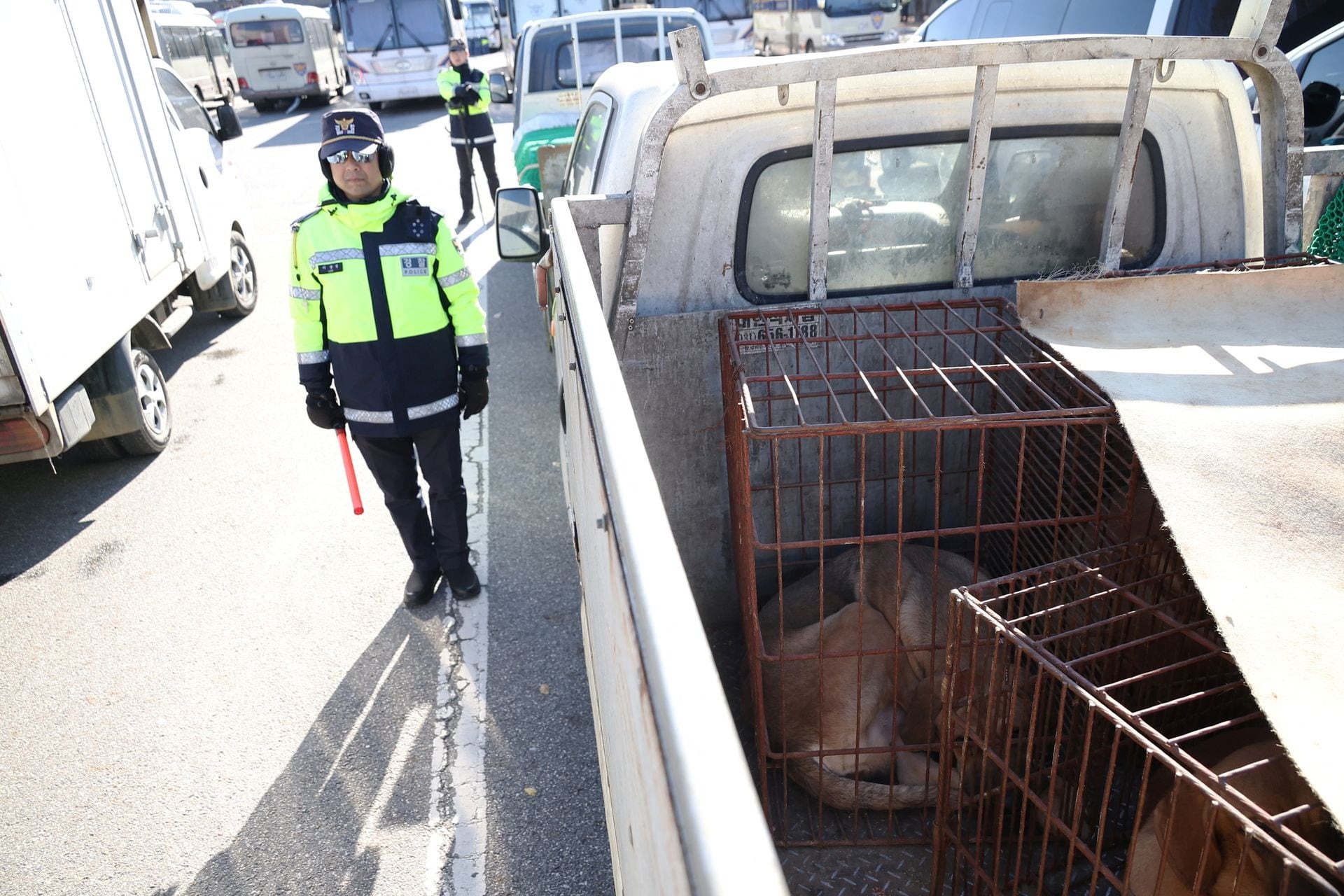 Người Hàn Quốc xuống đường biểu tình, phản đối lệnh cấm ăn thịt chó - Ảnh 7.