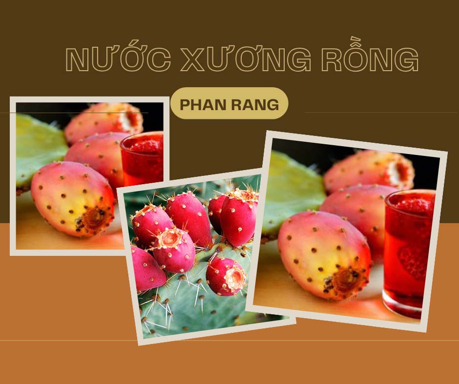 Ngọt tự nhiên, mềm, thơm và bổ dưỡng là hương vị tạo nên đặc sản của Ninh Thuận - Ảnh 1.