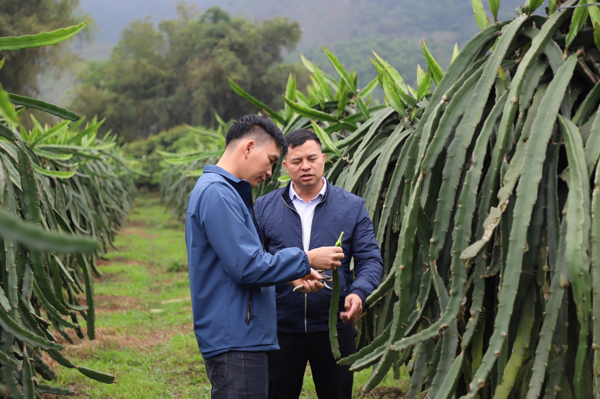 Nông thôn mới giúp xã nghèo ở Hà Giang “thay da đổi thịt” - Ảnh 3.