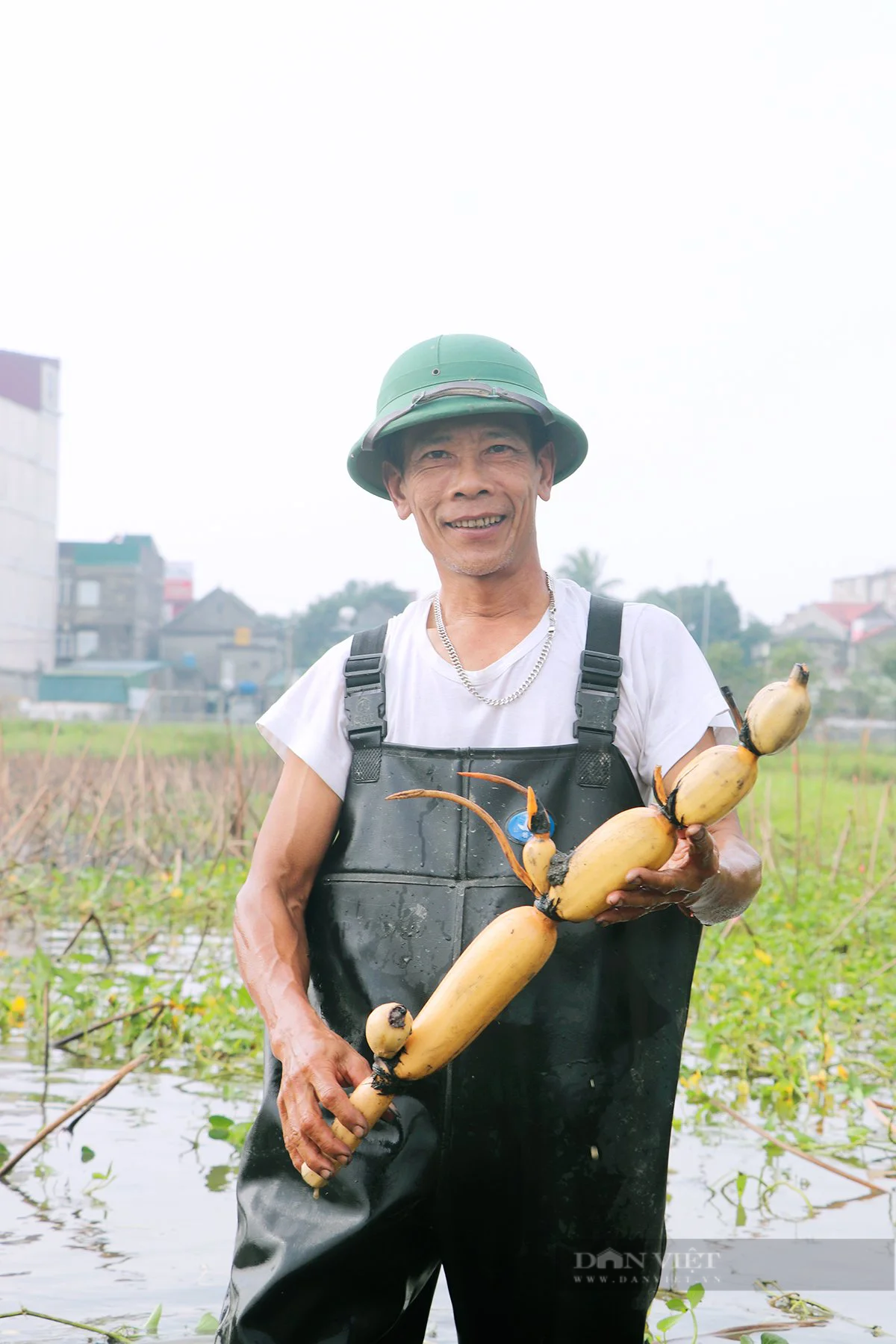 Hà Tĩnh: Phát triển các sản phẩm từ sen gắn với dịch vụ du lịch sinh thái - Ảnh 10.