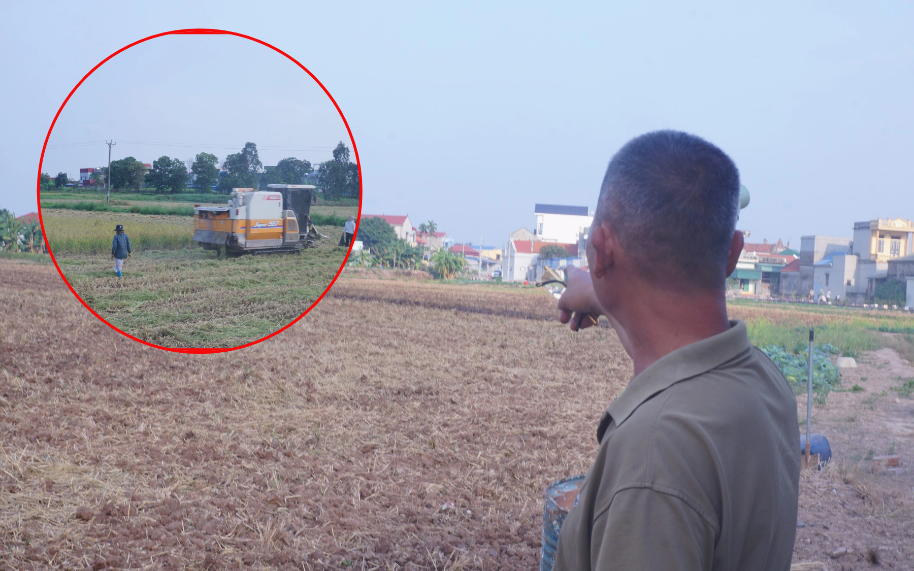 Một người đàn ông Nam Định 60 tuổi mới đi làm ruộng, gom 14 ha đất bỏ hoang khiến cả làng phục lăn