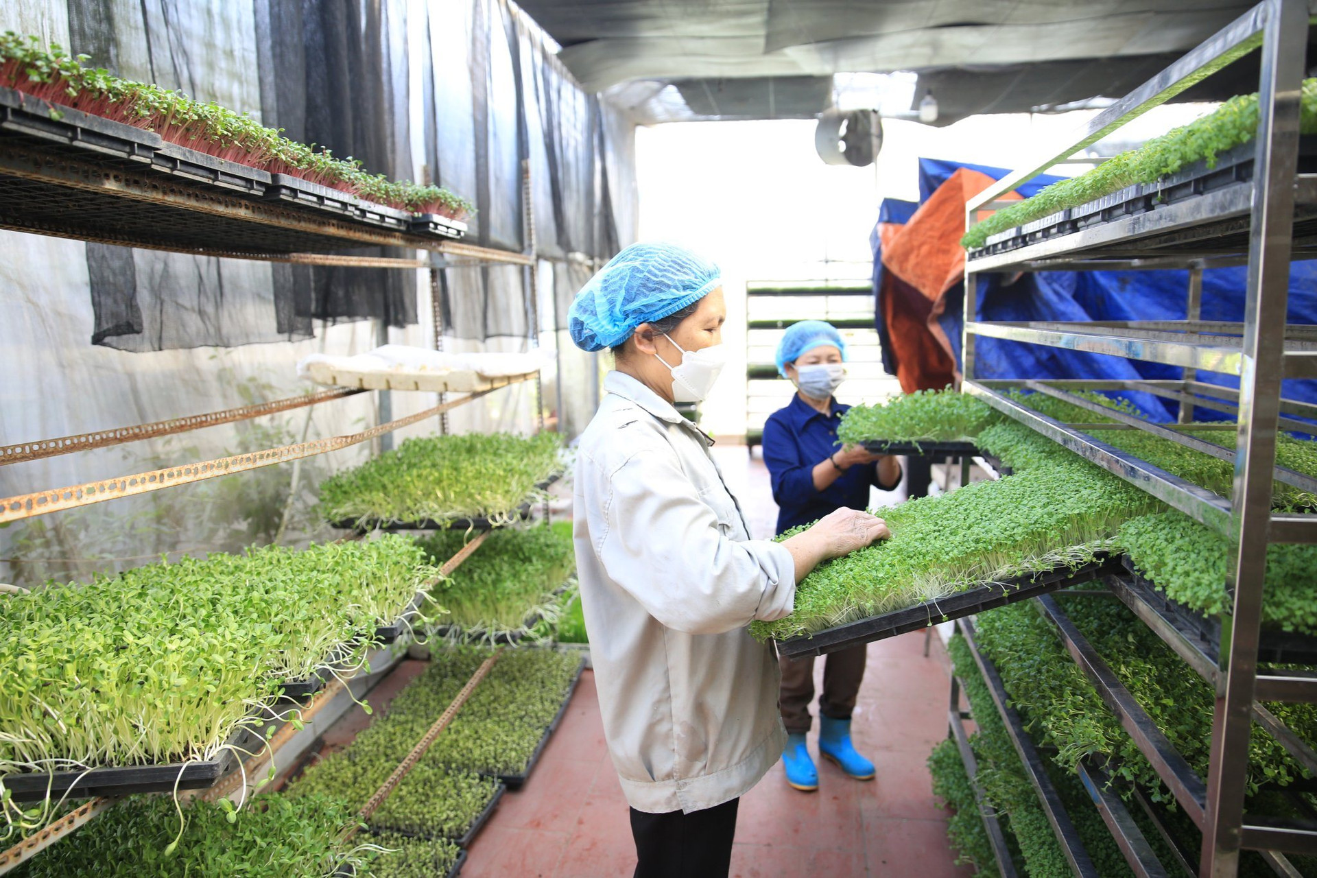 Giải Báo chí viết về &quot;Nông nghiệp, nông dân, nông thôn&quot; là sân chơi bổ ích, góp phần vào xây dựng cơ chế, chính sách - Ảnh 3.