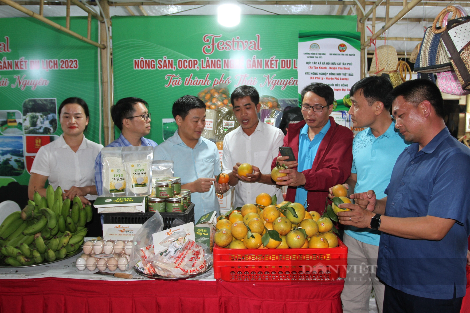 Hội Nông dân Thái Nguyên phát huy vai trò của kinh tế tập thể trong nông nghiệp - Ảnh 5.