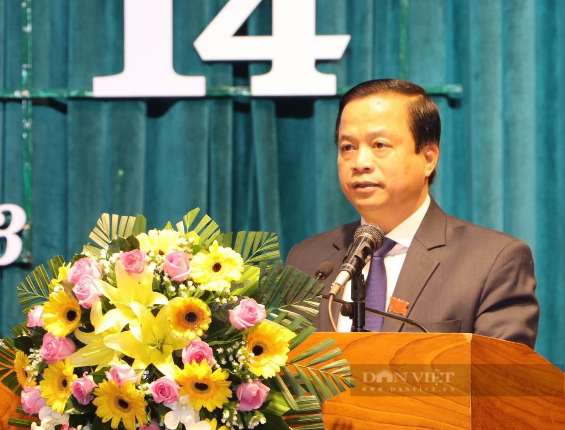 Phó Chủ tịch Bình Định: 'Hoàn thành đúng hạn 100% nhiệm vụ Thủ tướng, Chính phủ giao' - Ảnh 1.