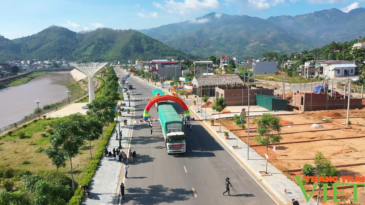 Sơn La: Xây dựng vùng nguyên liệu sản xuất và tiêu thụ nông sản trên địa bàn tỉnh Sơn La - Ảnh 7.