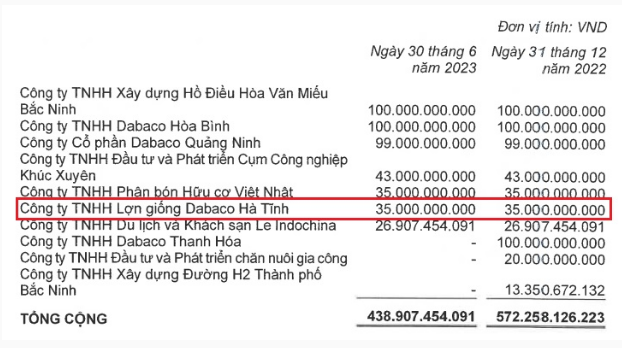 Dabaco Việt Nam bán 100% vốn tại công ty lợn giống ở Hà Tĩnh, kinh doanh &quot;lao dốc&quot; - Ảnh 4.