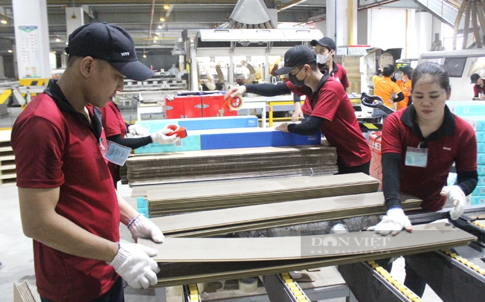 Một doanh nghiệp sản xuất sàn gỗ tại KCN Tân Bình, huyện Bắc Tân Uyên, Bình Dương. Ảnh: Nguyên Vỹ