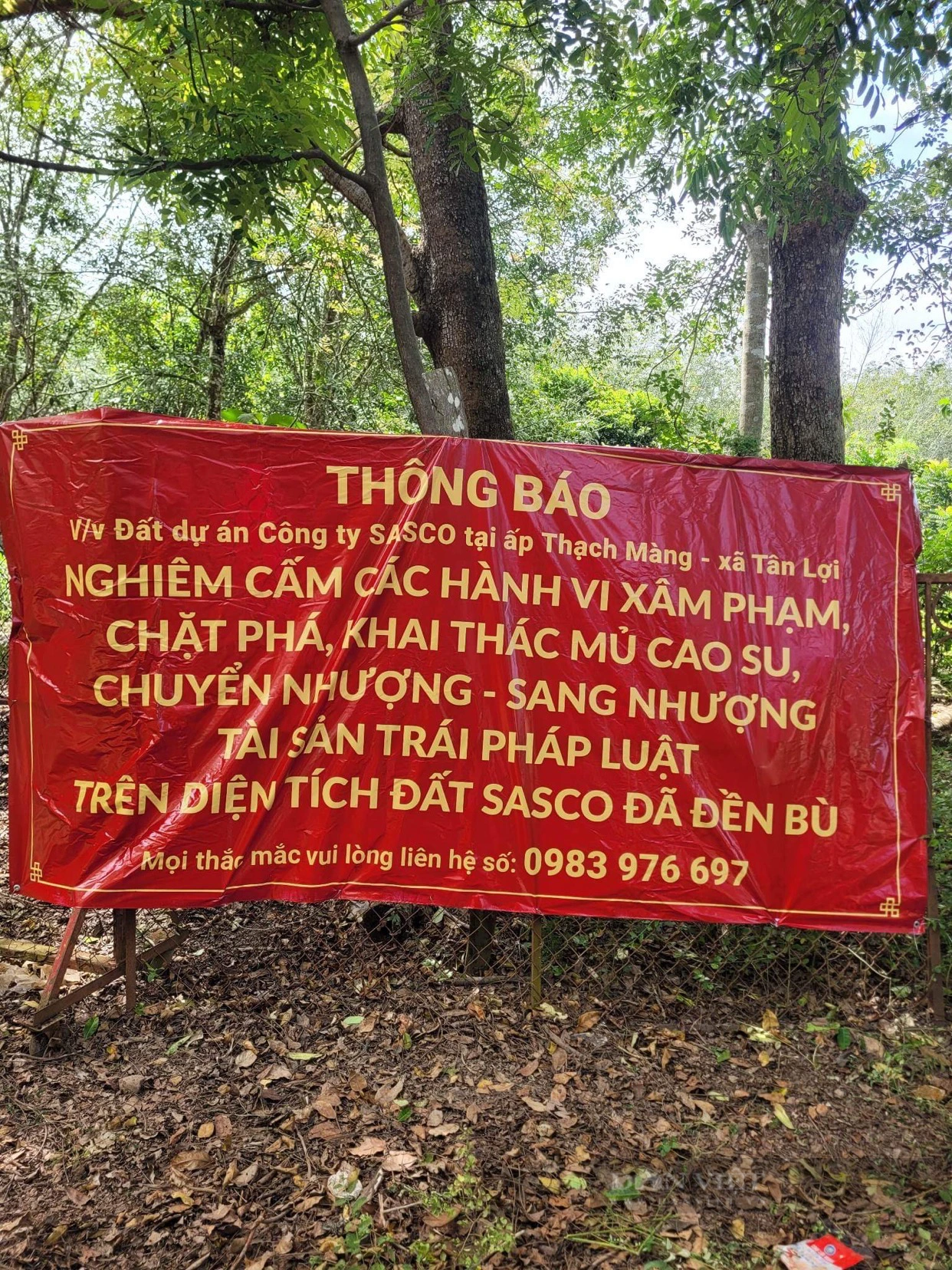 Vụ “một nông dân thắng kiện” ở Bình Phước: Công ty Sasco tố cáo kẻ lừa đảo chiếm đoạt tài sản hàng chục tỷ đồng - Ảnh 7.