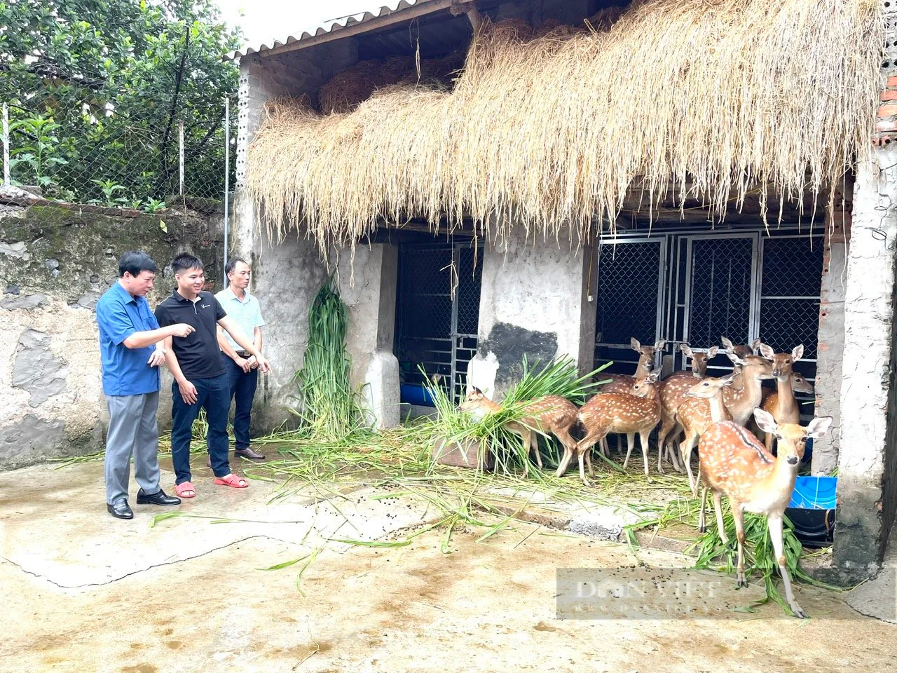 Chủ tịch Hội Nông dân tỉnh Thanh Hoá: Lấy cơ sở là &quot;điểm đi, đích đến&quot; trong mọi hoạt động của công tác hội - Ảnh 9.