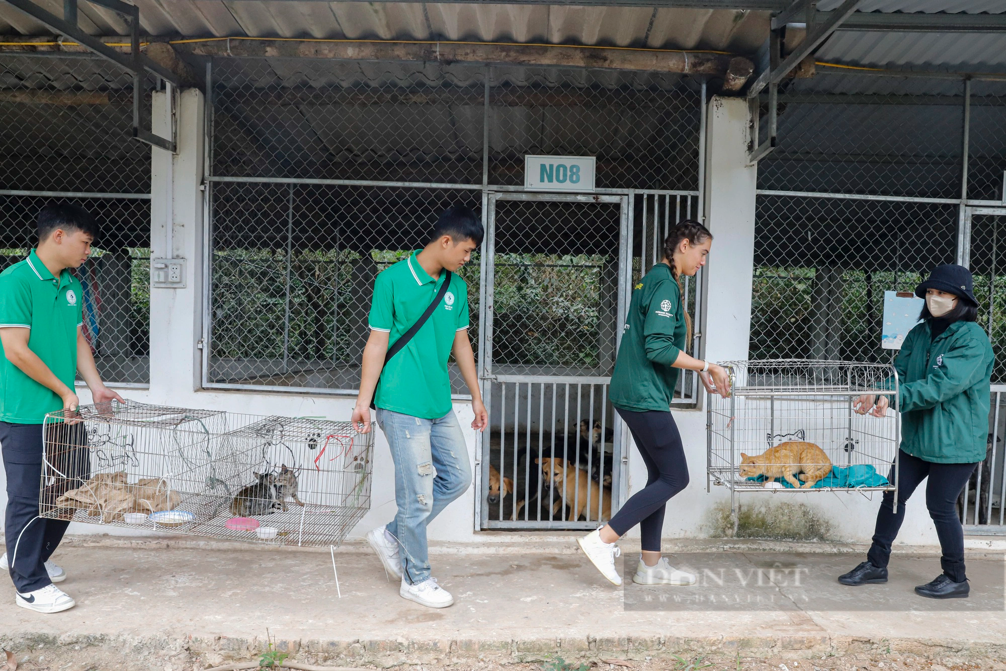 Đóng cửa vĩnh viễn lò mổ thịt mèo với quy mô 300 con mỗi tháng tại Thái Nguyên - Ảnh 10.
