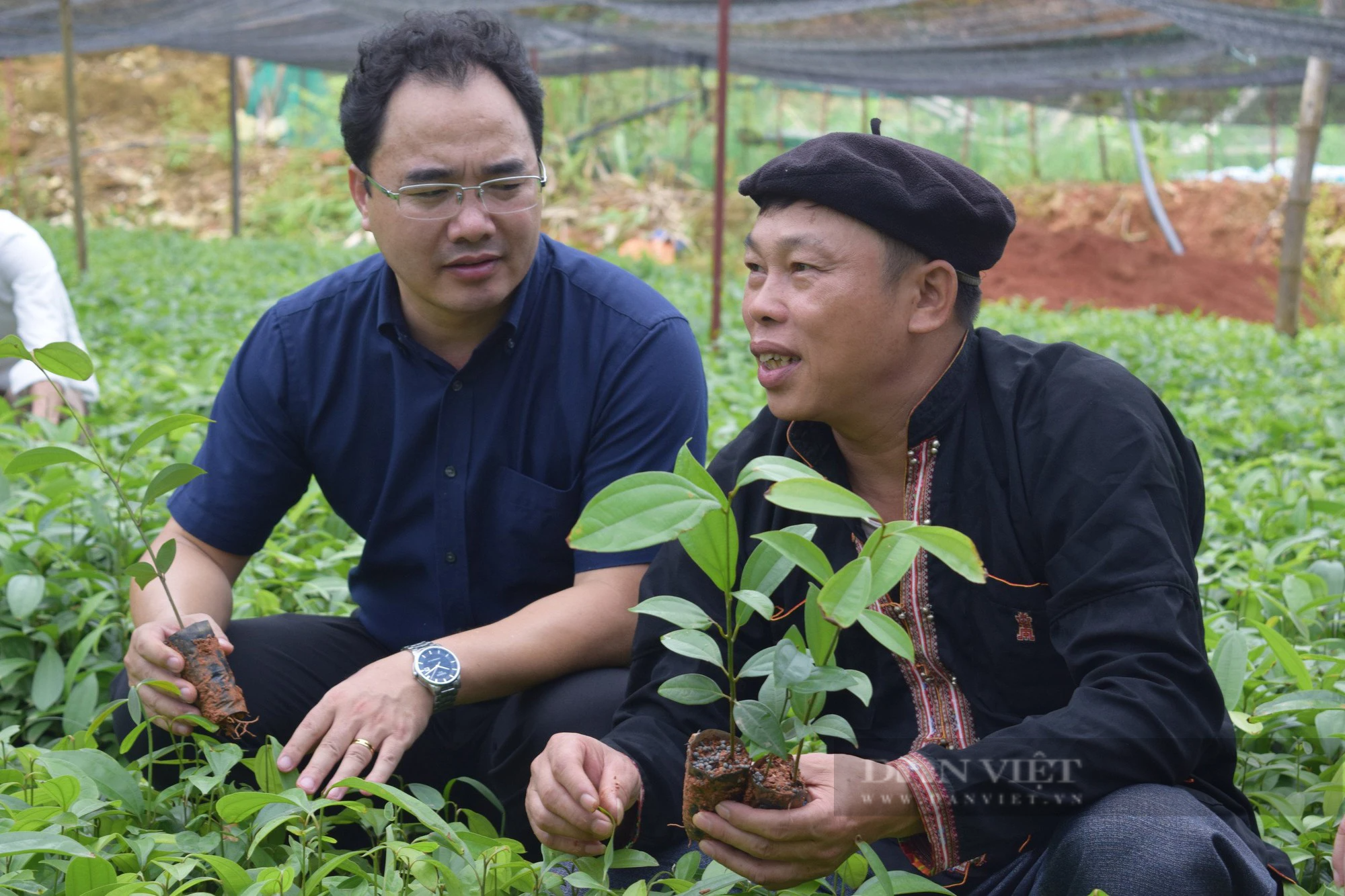 Chủ tịch Hội Nông đân tỉnh Yên Bái: Sẽ nhân rộng mô hình gia đình nông dân hạnh phúc - Ảnh 2.