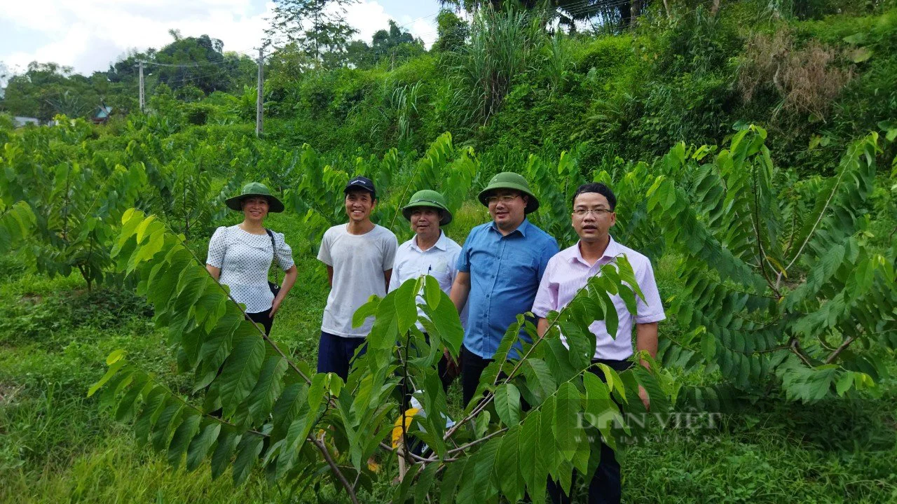 Chủ tịch Hội Nông đân tỉnh Yên Bái: Sẽ nhân rộng mô hình gia đình nông dân hạnh phúc - Ảnh 4.