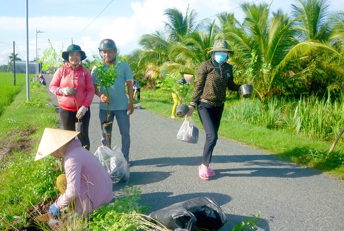 Đường nông thôn mới trồng hoa Huỳnh Anh, điệp vàng ở một nơi của Trà Vinh ngày càng đẹp như mơ - Ảnh 4.