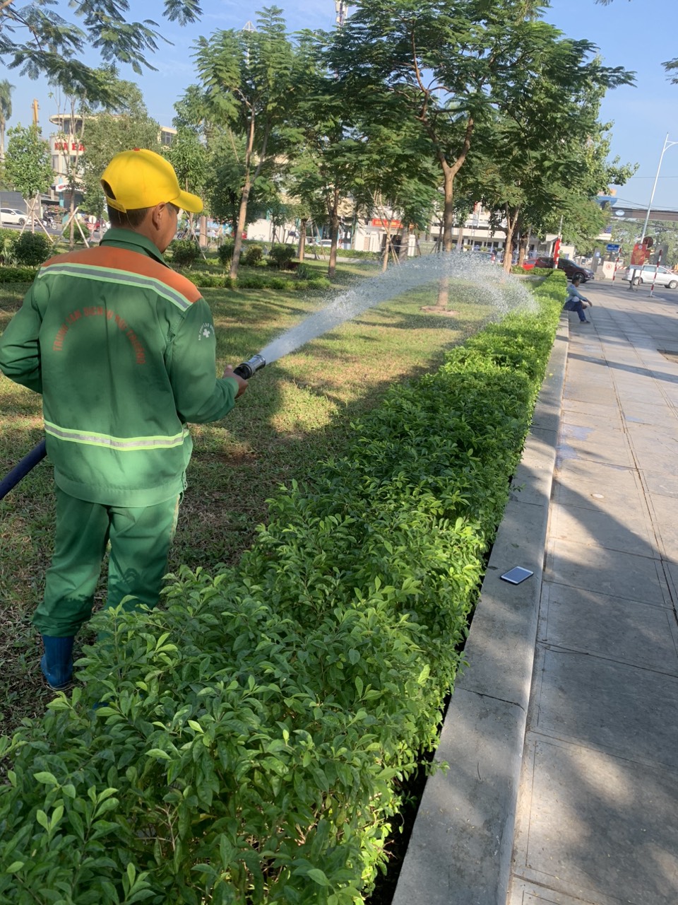  Những người gìn giữ “lá phổi xanh” cho dải trung tâm thành phố Hải Phòng - Ảnh 2.