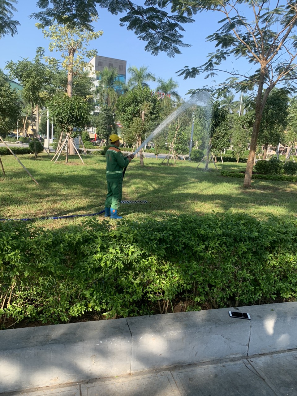  Những người gìn giữ “lá phổi xanh” cho dải trung tâm thành phố Hải Phòng - Ảnh 1.