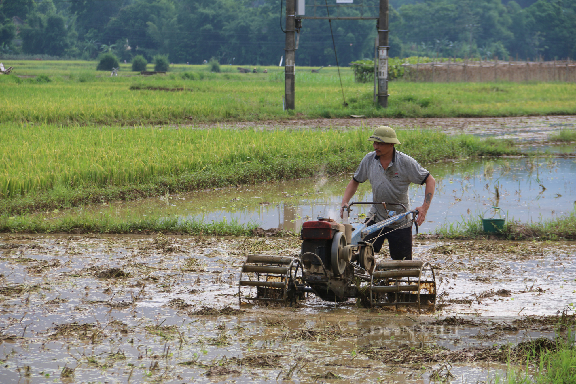 Lịch lấy nước phục vụ gieo cấy lúa vụ Đông Xuân 2023-2024 - Ảnh 2.